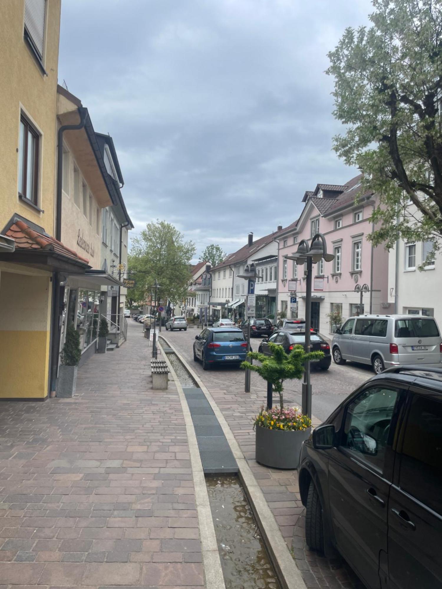 Golden Poodle Luxusappartment Am Neuen Schloss Tettang Tettnang Luaran gambar
